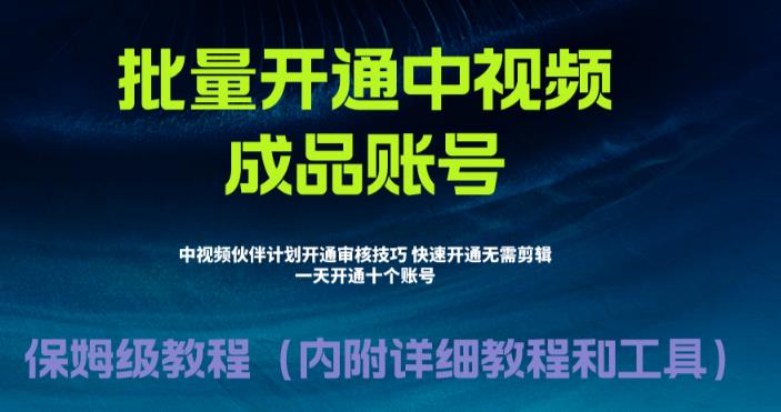 [新自媒体]外面收费1980暴力开通中视频计划教程，附 快速通过中视频伙伴计划的办法-创业猫