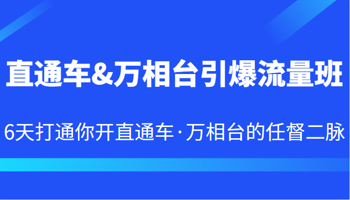 直通车&万相台引爆流量班 6天打通你开直通车·万相台的任督二脉-创业猫