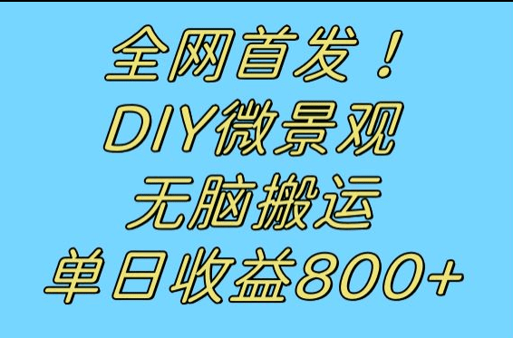 全网首发冷门赛道！DIY微景观，无脑搬运视频，日收益800+-创业猫