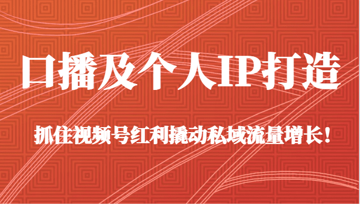 口播及个人IP打造，抓住视频号红利撬动私域流量增长！（45节课）-创业猫