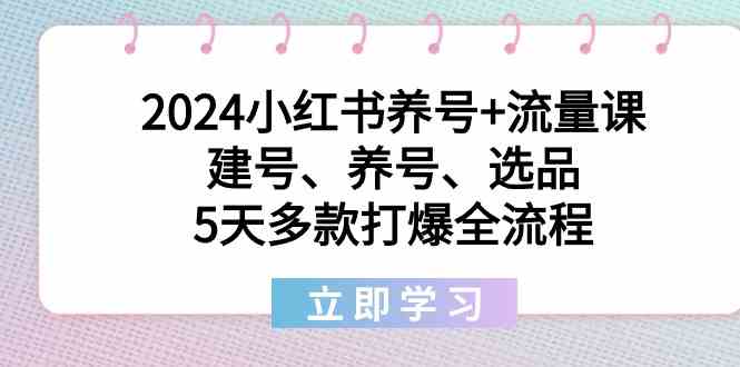 2024小红书养号+流量课：建号、养号、选品，5天多款打爆全流程-创业猫