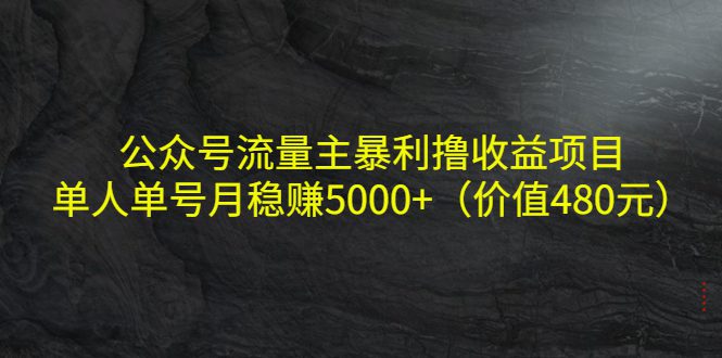 （4011期）公众号流量主暴利撸收益项目，单人单号月稳赚5000+（价值480元）-创业猫