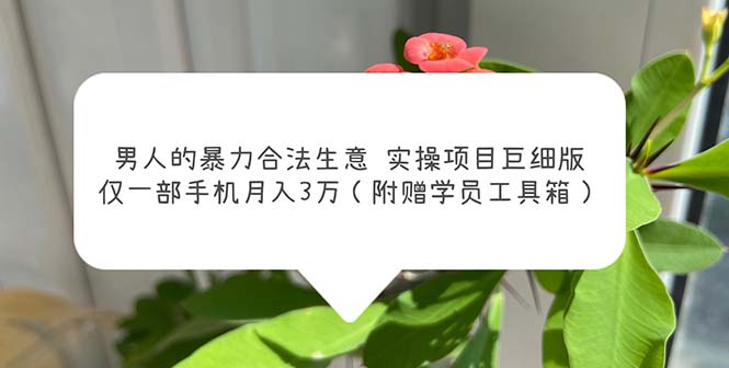 （5962期）男人的暴力合法生意实操项目巨细版：仅一部手机月入3w（附赠学员工具箱）-创业猫