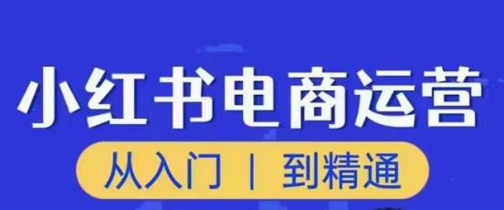 顽石小红书电商高阶运营课程，从入门到精通，玩法流程持续更新-创业猫