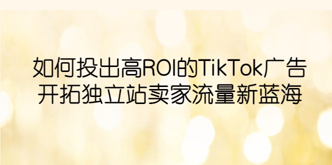 （6102期）如何投出高ROI·TikTok广告，开拓独立站卖家流量新蓝海-创业猫