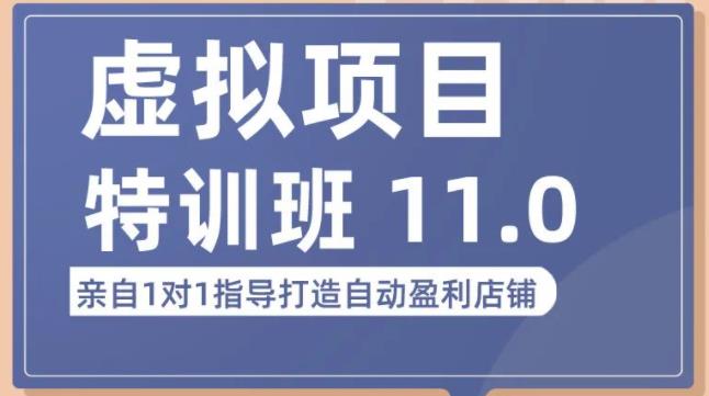 陆明明·虚拟项目特训班（10.0+11.0），0成本获取虚拟素材，0基础打造自动盈利店铺-创业猫