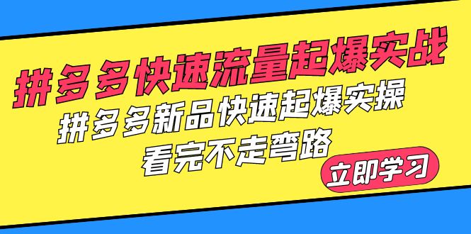 （6253期）拼多多-快速流量起爆实战，拼多多新品快速起爆实操，看完不走弯路-创业猫