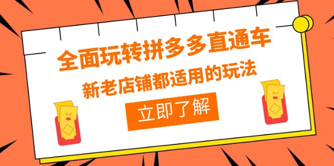 （6294期）全面玩转拼多多直通车，新老店铺都适用的玩法（12节精华课）-创业猫