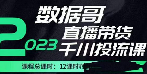 数据哥2023直播电商巨量千川付费投流实操课，快速掌握直播带货运营投放策略-创业猫