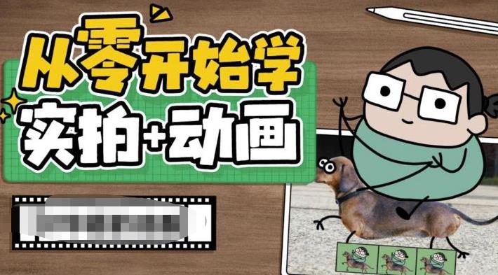 （6570期）从零开始学实拍加动画，实拍加动画创意教程（49节视频课）-创业猫