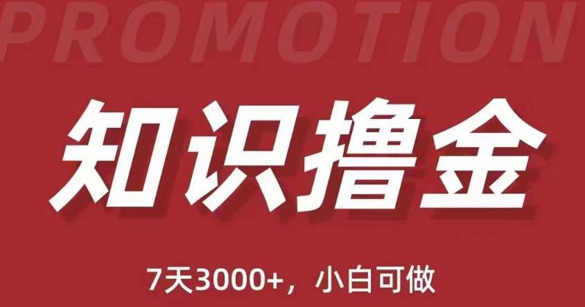 抖音知识撸金项目：简单粗暴日入1000+执行力强当天见收益(教程+资料)-创业猫