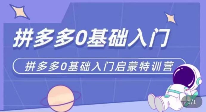 拼多多运营0-1实操特训营，拼多多0基础入门，从基础到进阶的可实操玩法-创业猫