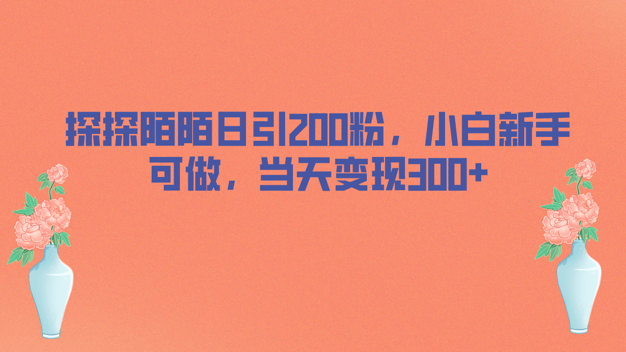 （6817期）探探陌陌日引200粉，小白新手可做，当天就能变现300+-创业猫