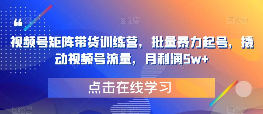 视频号矩阵带货训练营，批量暴力起号，撬动视频号流量，月利润5w+-创业猫