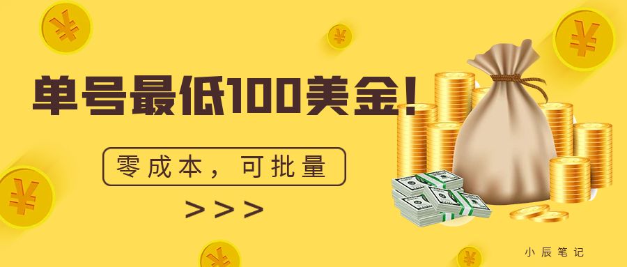 （6975期）单号最低100美金，零成本，小白无脑操作。可复制，可扩大。-创业猫