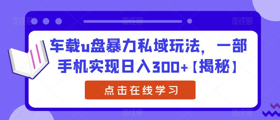 车载u盘暴力私域玩法，一部手机实现日入300+【揭秘】-创业猫