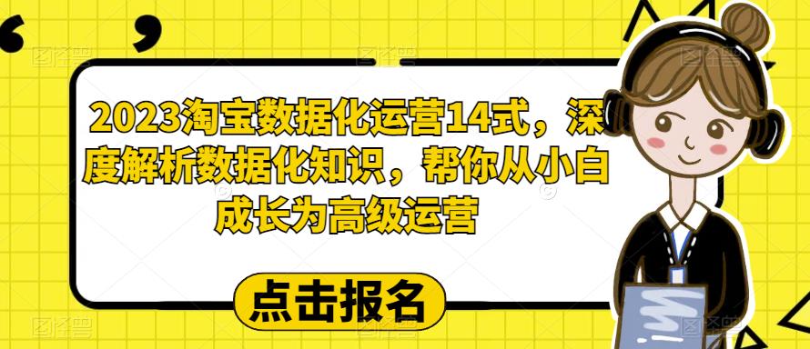 2023淘宝数据化运营14式，深度解析数据化知识，帮你从小白成长为高级运营-创业猫