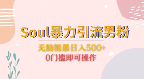 Soul暴力引流男粉玩法，无脑粗暴日入500＋，0门槛即可操作【揭秘】-创业猫