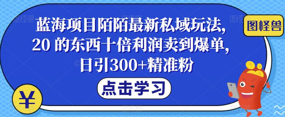 蓝海项目陌陌最新私域玩法，20 的东西十倍利润卖到爆单，日引300+精准粉【揭秘】-创业猫