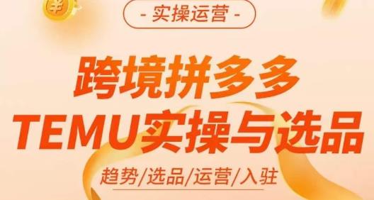 伍跃·跨境拼多多TEMU实操与选品，​趋势/选品/运营/入住（27节完整）-创业猫