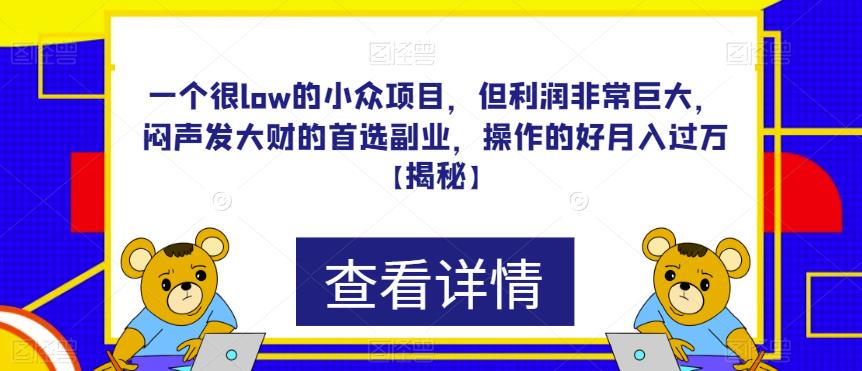 一个很low的小众项目，但利润非常巨大，闷声发大财的首选副业，操作的好月入过万【揭秘】-创业猫