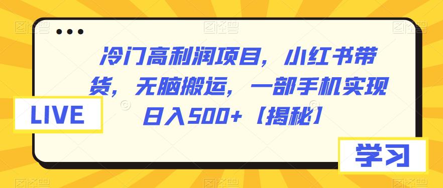 冷门高利润项目，小红书带货，无脑搬运，一部手机实现日入500+【揭秘】-创业猫