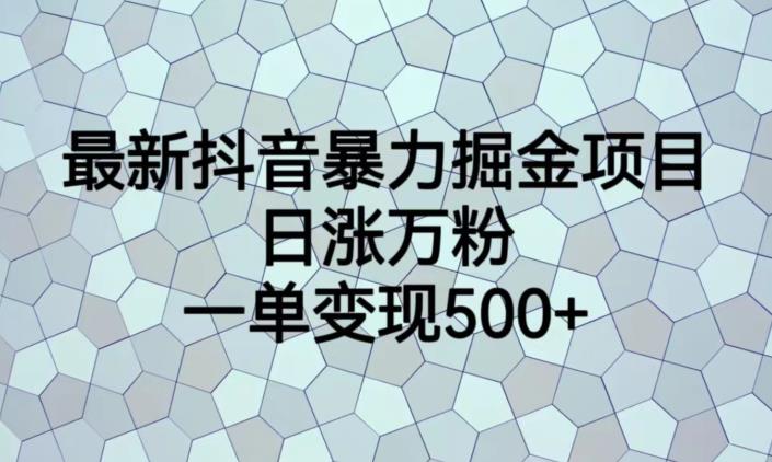 最新抖音暴力掘金项目，日涨万粉，一单变现500+【揭秘】-创业猫