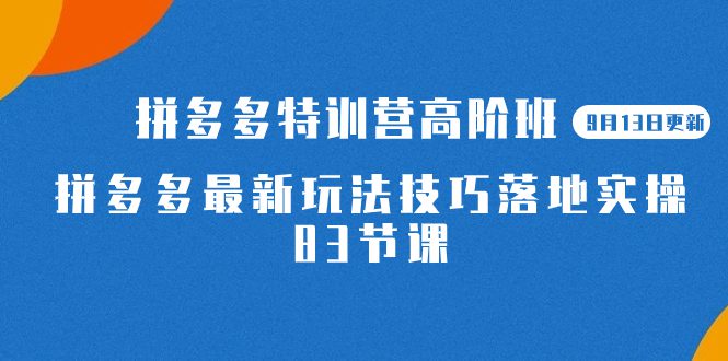 （7295期）2023拼多多·特训营高阶班【9月13日更新】拼多多最新玩法技巧落地实操-83节-创业猫