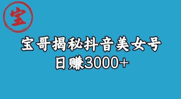 宝哥揭秘抖音美女号玩法，日赚3000+【揭秘】-创业猫