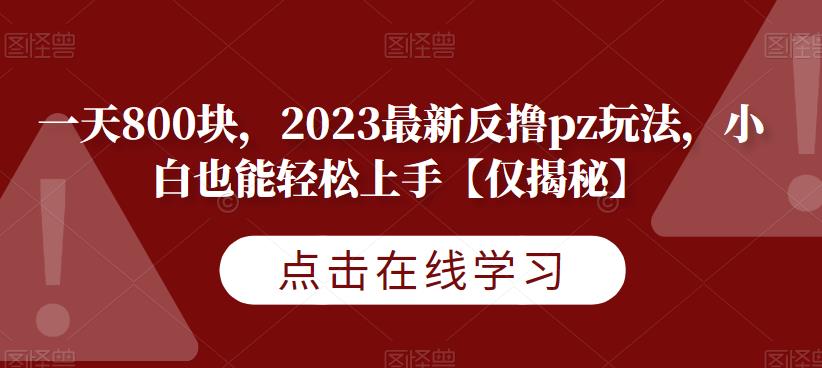 一天800块，2023最新反撸pz玩法，小白也能轻松上手【仅揭秘】-创业猫