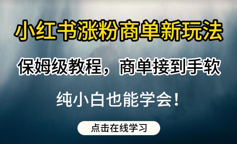 小红书涨粉商单新玩法，保姆级教程，商单接到手软，纯小白也能学会【揭秘】-创业猫