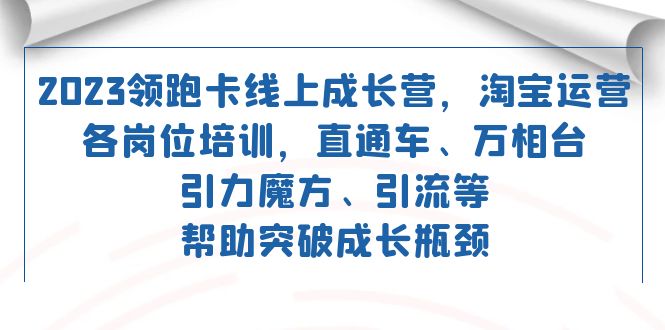 （7462期）2023领跑·卡 线上成长营 淘宝运营各岗位培训 直通车 万相台 引力魔方 引流-创业猫