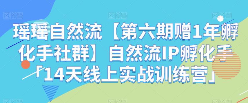 瑶瑶自然流【第六期赠1年孵化手社群】自然流IP孵化手「14天线上实战训练营」-创业猫