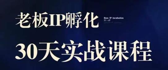 诸葛·2023老板IP实战课，实体同城引流获客，IP孵化必听-创业猫