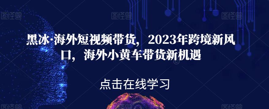 黑冰·海外短视频带货，2023年跨境新风口，海外小黄车带货新机遇-创业猫