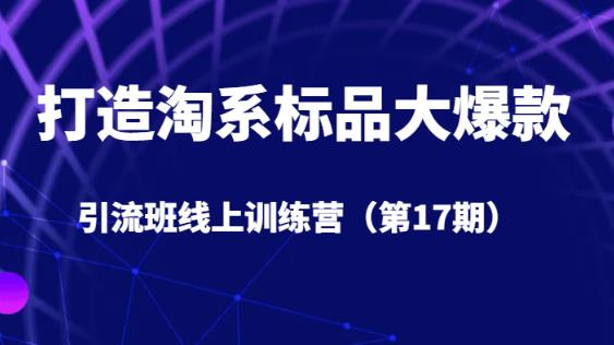 打造淘系标品大爆款引流班线上训练营（第17期）5天直播授课-创业猫