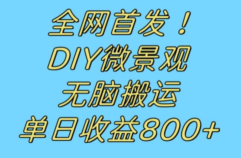 全网首发冷门赛道！DIY微景观，无脑搬运视频，日收益800+【揭秘】-创业猫