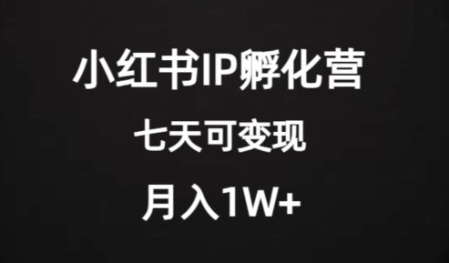 价值2000+的小红书IP孵化营项目，超级大蓝海，七天即可开始变现，稳定月入1W+-创业猫