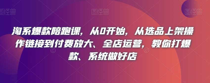 淘系爆款陪跑课，从0开始，从选品上架操作链接到付费放大、全店运营，教你打爆款、系统做好店-创业猫