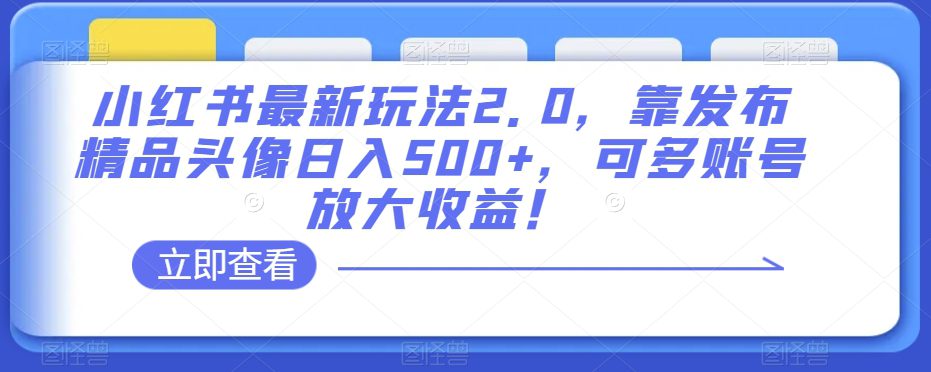 小红书最新玩法2.0，靠发布精品头像日入500+，可多账号放大收益！【揭秘】-创业猫