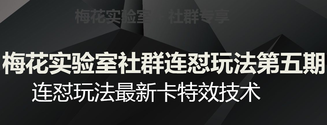 梅花实验室社群连怼玩法第五期，视频号连怼玩法最新卡特效技术-创业猫