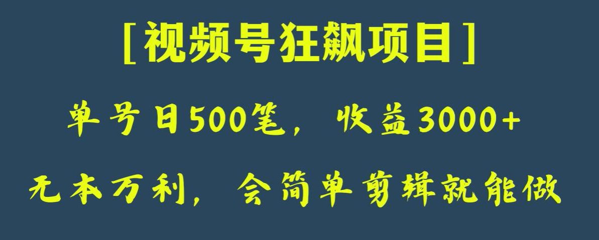 日收款500笔，纯利润3000+，视频号狂飙项目，会简单剪辑就能做【揭秘】-创业猫