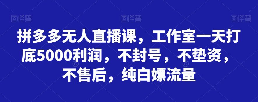 拼多多无人直播课，工作室一天打底5000利润，不封号，不垫资，不售后，纯白嫖流量-创业猫