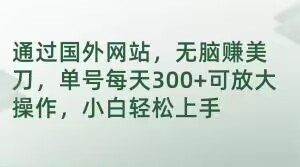 通过国外网站，无脑赚美刀，单号每天300+可放大操作，小白轻松上手【揭秘】-创业猫