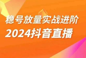 稳号放量实战进阶—2024抖音直播，直播间精细化运营的几大步骤-创业猫