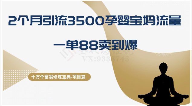 十万个富翁修炼宝典之13.2个月引流3500孕婴宝妈流量，一单88卖到爆-创业猫