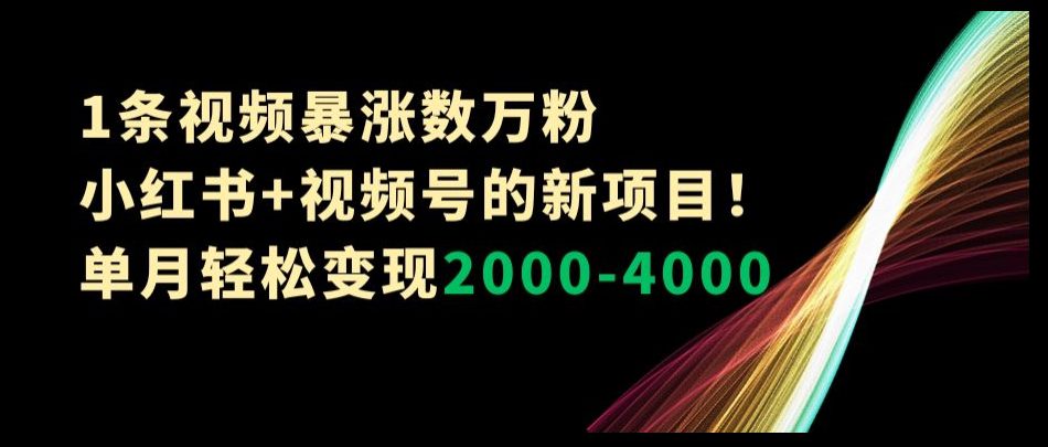 1条视频暴涨数万粉–小红书+视频号的新项目！单月轻松变现2000-4000【揭秘】-创业猫