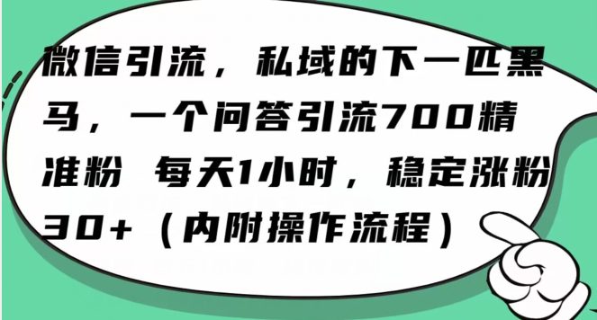 怎么搞精准创业粉？微信新赛道，每天一小时，利用Ai一个问答日引100精准粉-创业猫