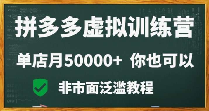 拼多多虚拟电商训练营月入30000+你也行，暴利稳定长久，副业首选-创业猫