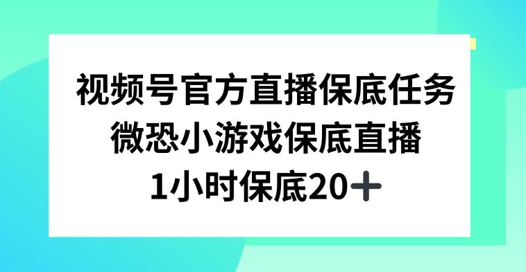 视频号直播任务，微恐小游戏，1小时20+-创业猫